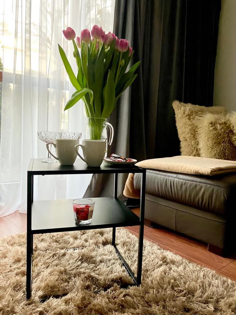Royal Place 2 Bedrooms Wilanow Appartement